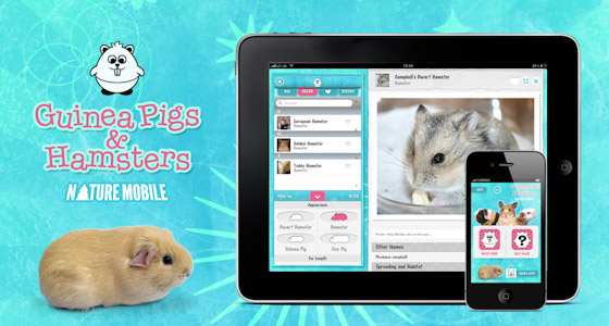 Nature Mobile: Ginny Pigs and Hamsters